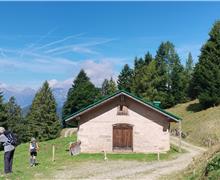 IMG_20260913_114652 - Silvana